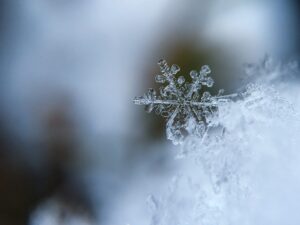 Snowflake to Stud: Embrace the heat – Asha Moore